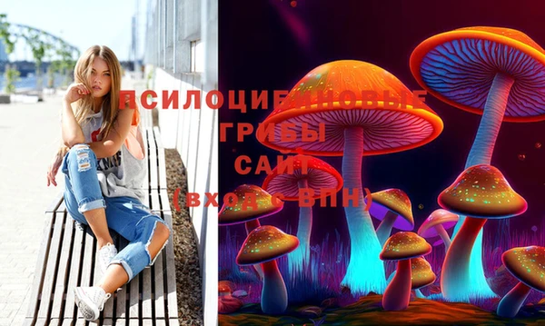крисы Рославль