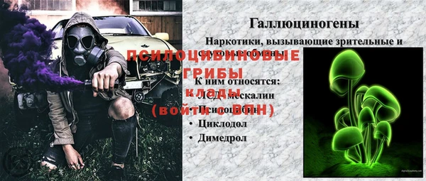 эйфоретик Ельня