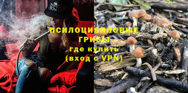 2c-b Россошь