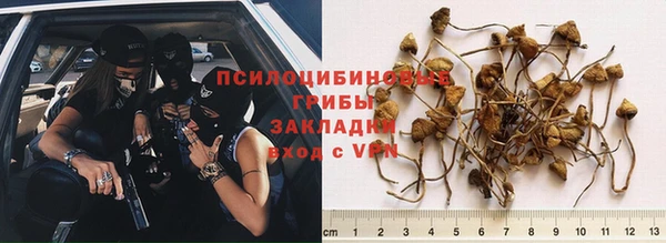 2c-b Россошь