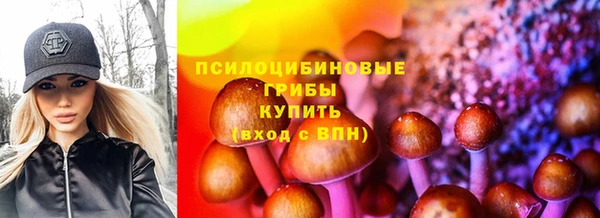 крисы Рославль